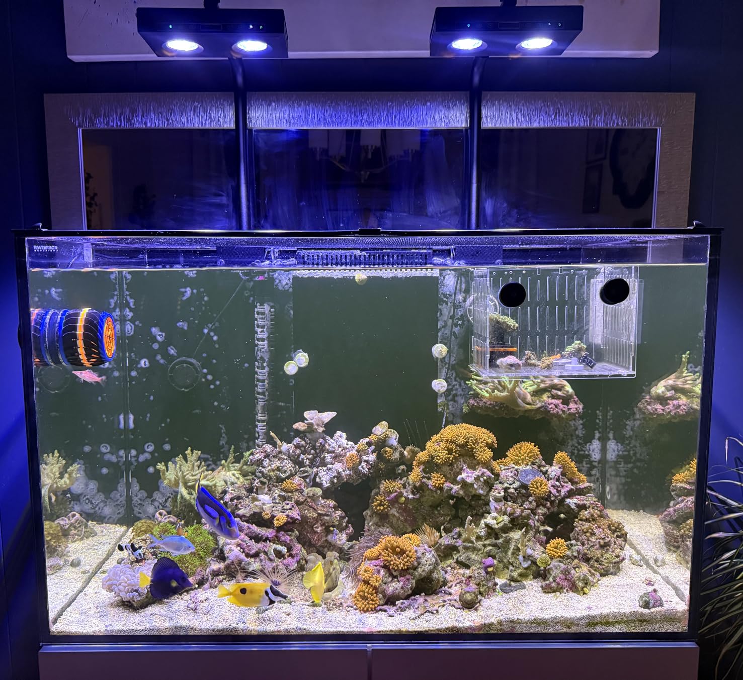 Marine Aquarium Led Lights - ハイパワーDIYスペクトラム90W G5アクアスタータイマーLED水槽ライト海水魚タンクランプサンゴ礁LED