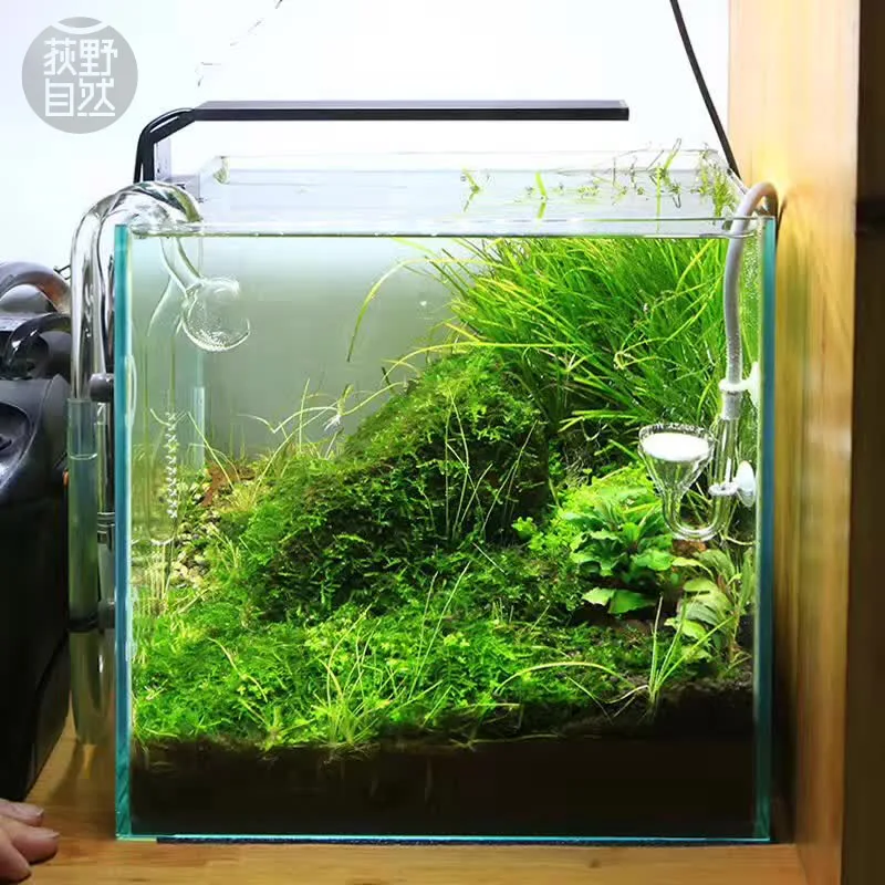 Marine Aquarium Led Lights - Chihiros C シリーズ ADA スタイル植物成長 LED