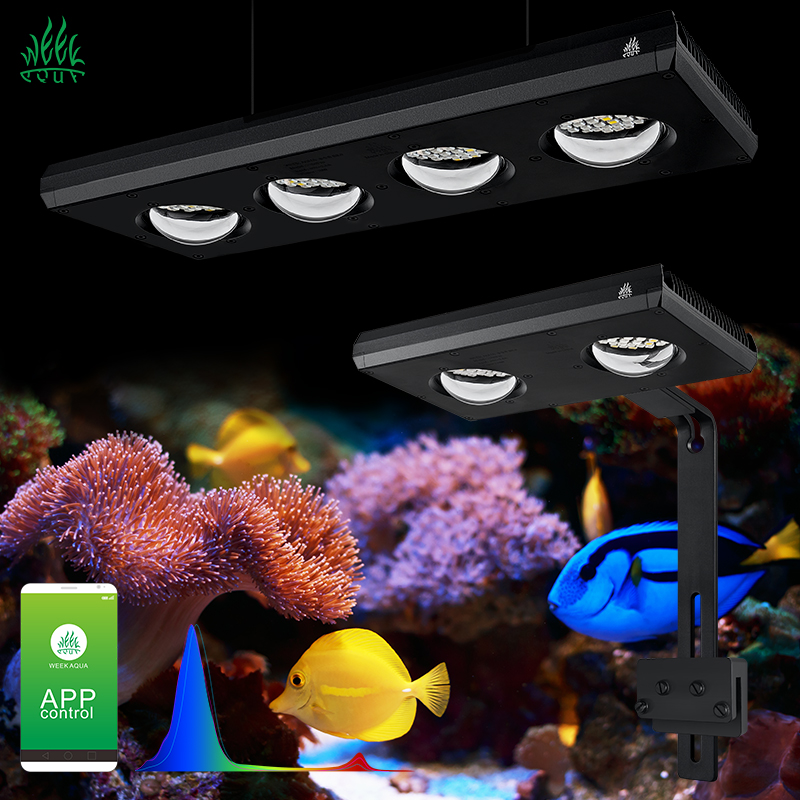Marine Aquarium Led Lights - ZXY ホットセール WEEKAQUA Z250 Z400sea 照明