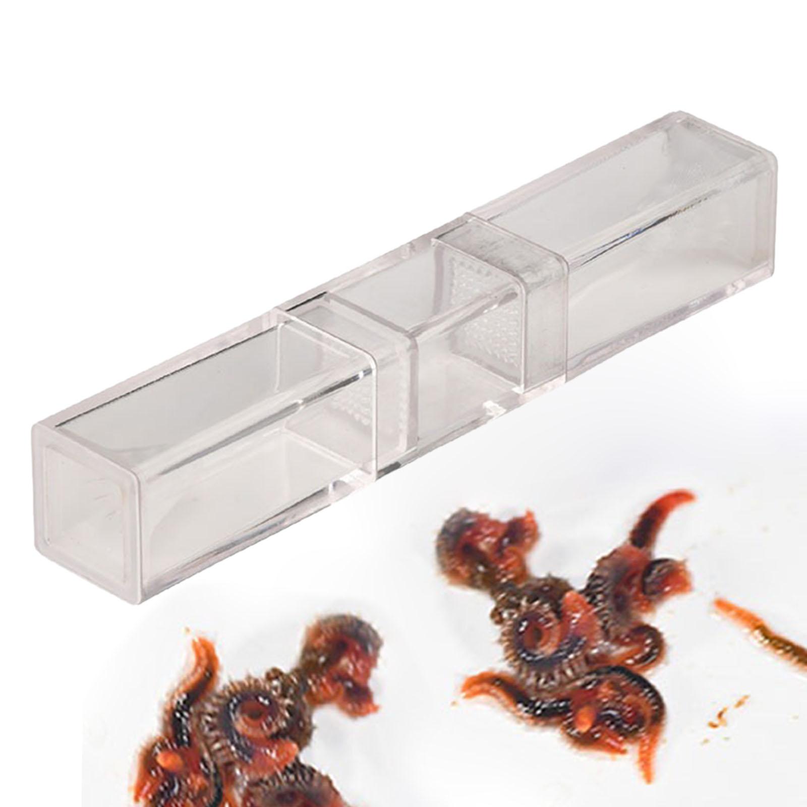 Marine Aquarium Worms - チェリーシュリンプ水槽用プランタリアキャッチャー、安定した海洋水槽用ワーム