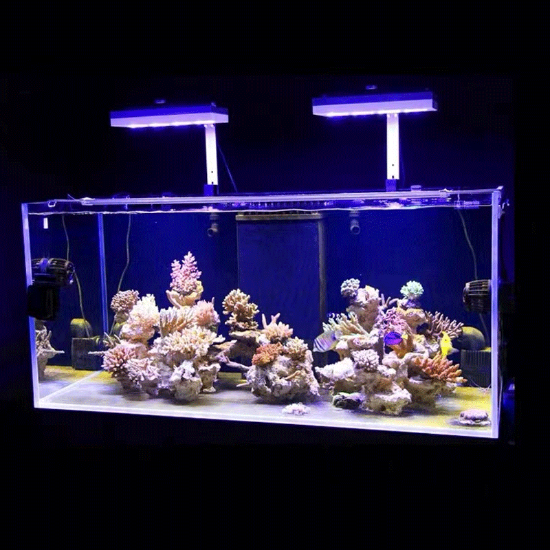 アクアイルミネーション AI ハイドラ 32HD/64HD  - Marine Aquarium Led Lights のレビューと価格