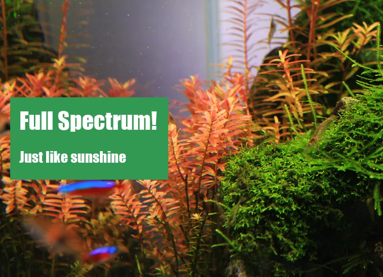 Chihiros C シリーズ ADA スタイル植物成長 L - Marine Aquarium Led Lights のレビューと価格