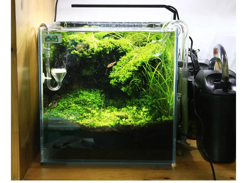Chihiros C シリーズ ADA スタイル植物成長 L - Marine Aquarium Led Lights のレビューと価格