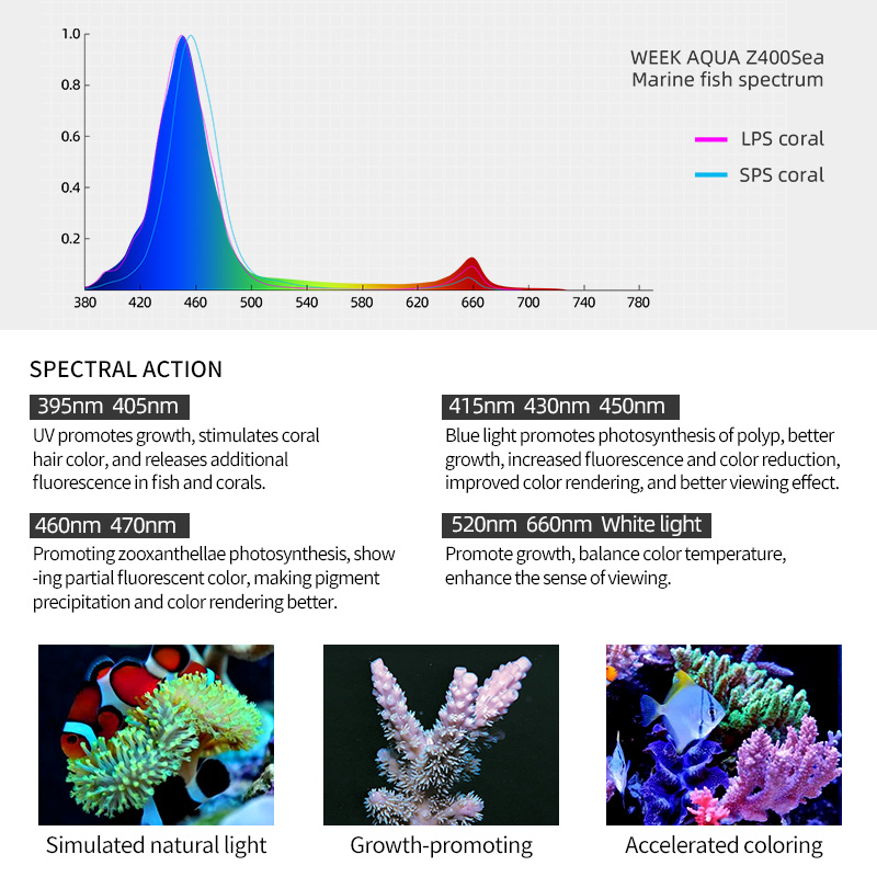ZXY ホットセール WEEKAQUA Z250 Z400s - Marine Aquarium Led Lights のレビューと価格