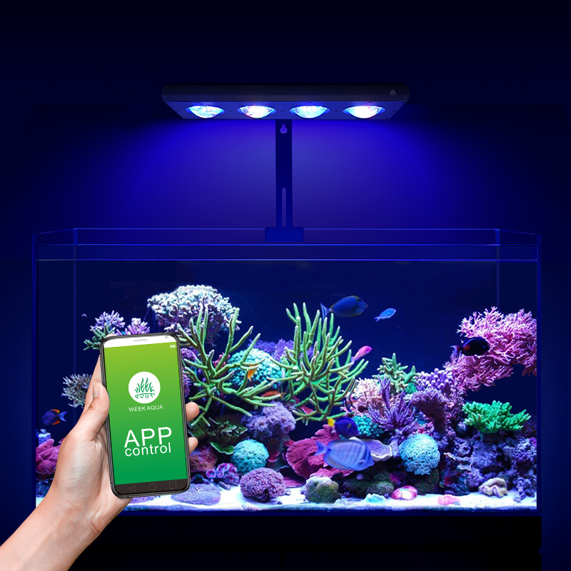ZXY ホットセール WEEKAQUA Z250 Z400s - Marine Aquarium Led Lights のレビューと価格