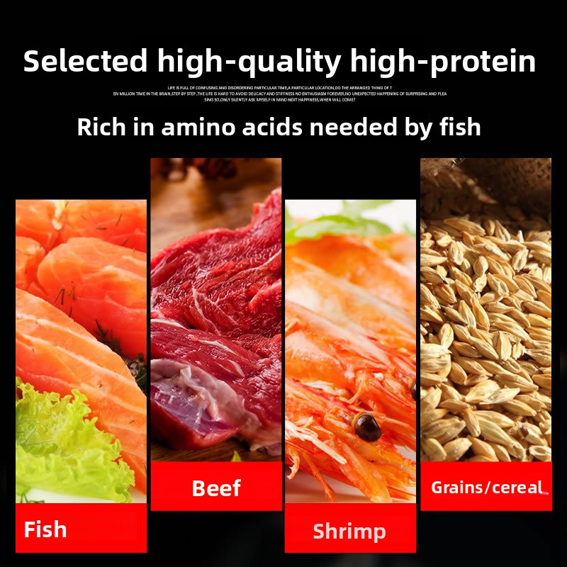 サンサン 錦鯉 観賞魚 金魚用飼料 高スピルリナ配合 色彩強 - Marine Aquarium Uv Sterilizer のレビューと価格